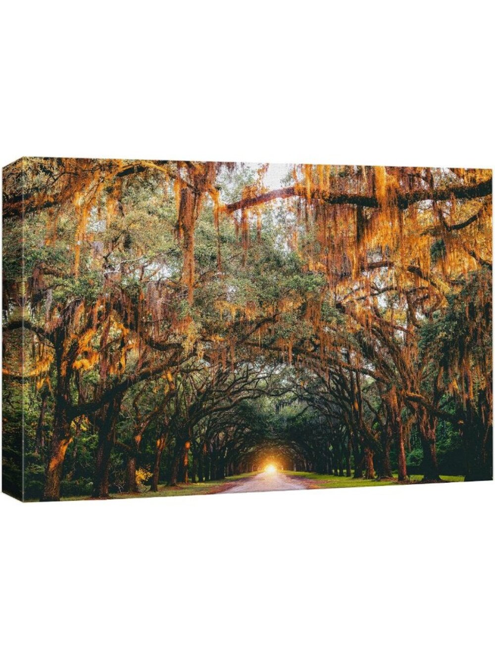 Autumn Canvas Wall Art - Colorful Tree Canopy Nature Photography for Home Decor